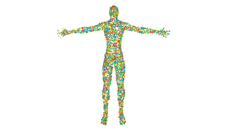 The Human Microbiome, From Unknown to Mainstream